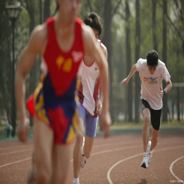 聚焦热门体育赛事：明星表现与顶尖战术深度解析